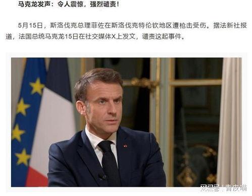 斯洛伐克爆料最新消息,揭秘重大事件背后真相  第3张